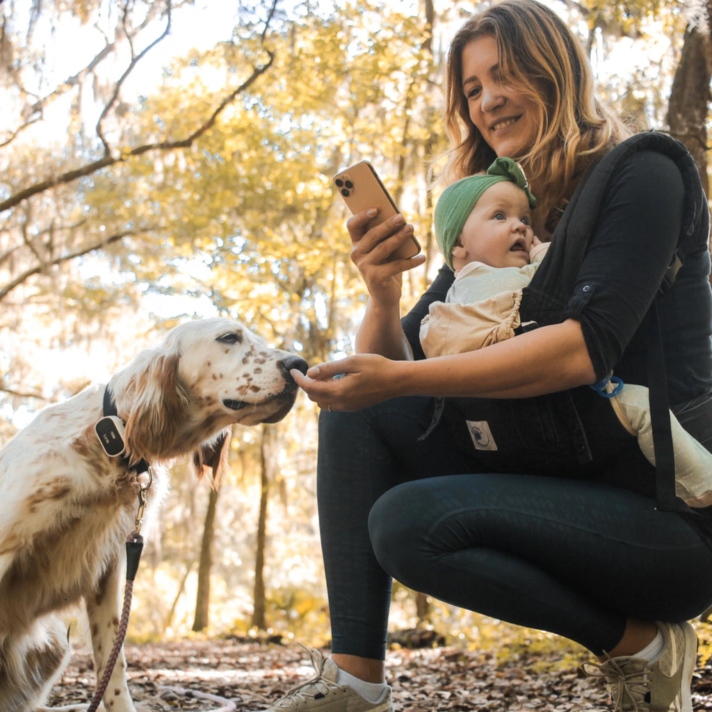 Link My Pet GPS Dog Tracker & Activity Monitor with Training Tools, Fits Any Collar