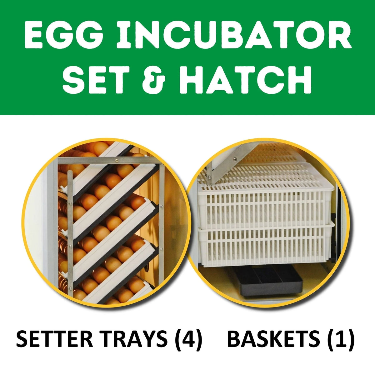 HB175C Egg Incubator with Hatcher Combo. Automatic Egg Turning and Humidity Control, Adjustable Egg Setter Trays, Perfect Poultry Incubator, Set and Forget Design. - Cimuka by Hatching Time