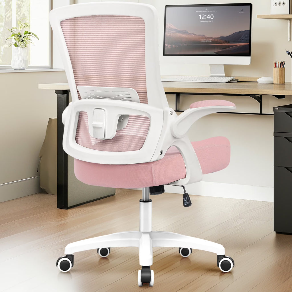 NEO CHAIR Ergonomic Office Chair, Adjustable High Back Mesh Desk Chair with Flip-up Arms, Black