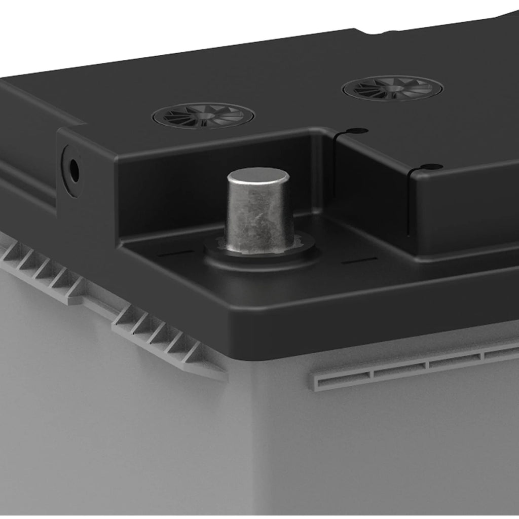 EverStart Platinum BOXED AGM Battery, Group Size H8 12 Volt, 900 CCA