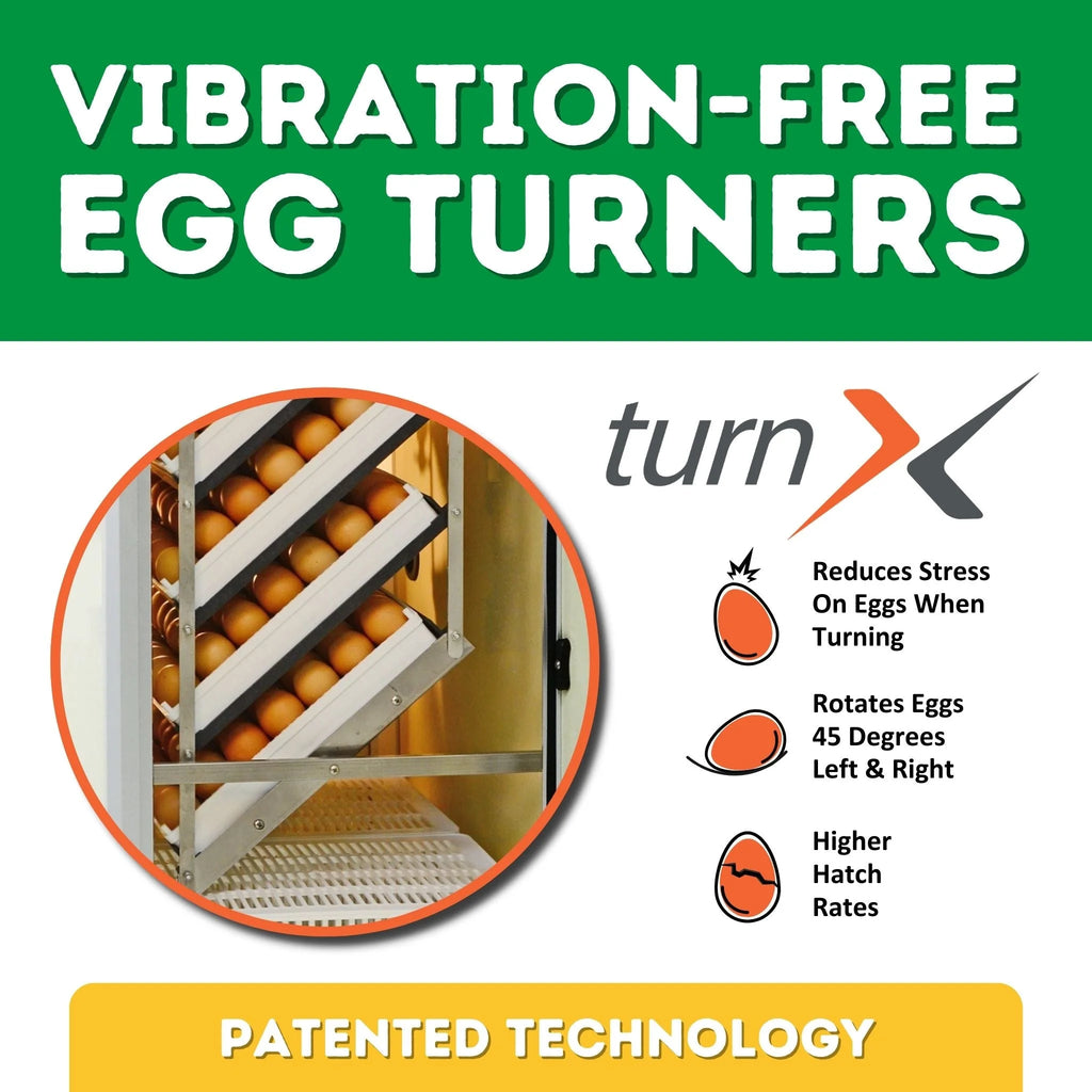 HB175C Egg Incubator with Hatcher Combo. Automatic Egg Turning and Humidity Control, Adjustable Egg Setter Trays, Perfect Poultry Incubator, Set and Forget Design. - Cimuka by Hatching Time