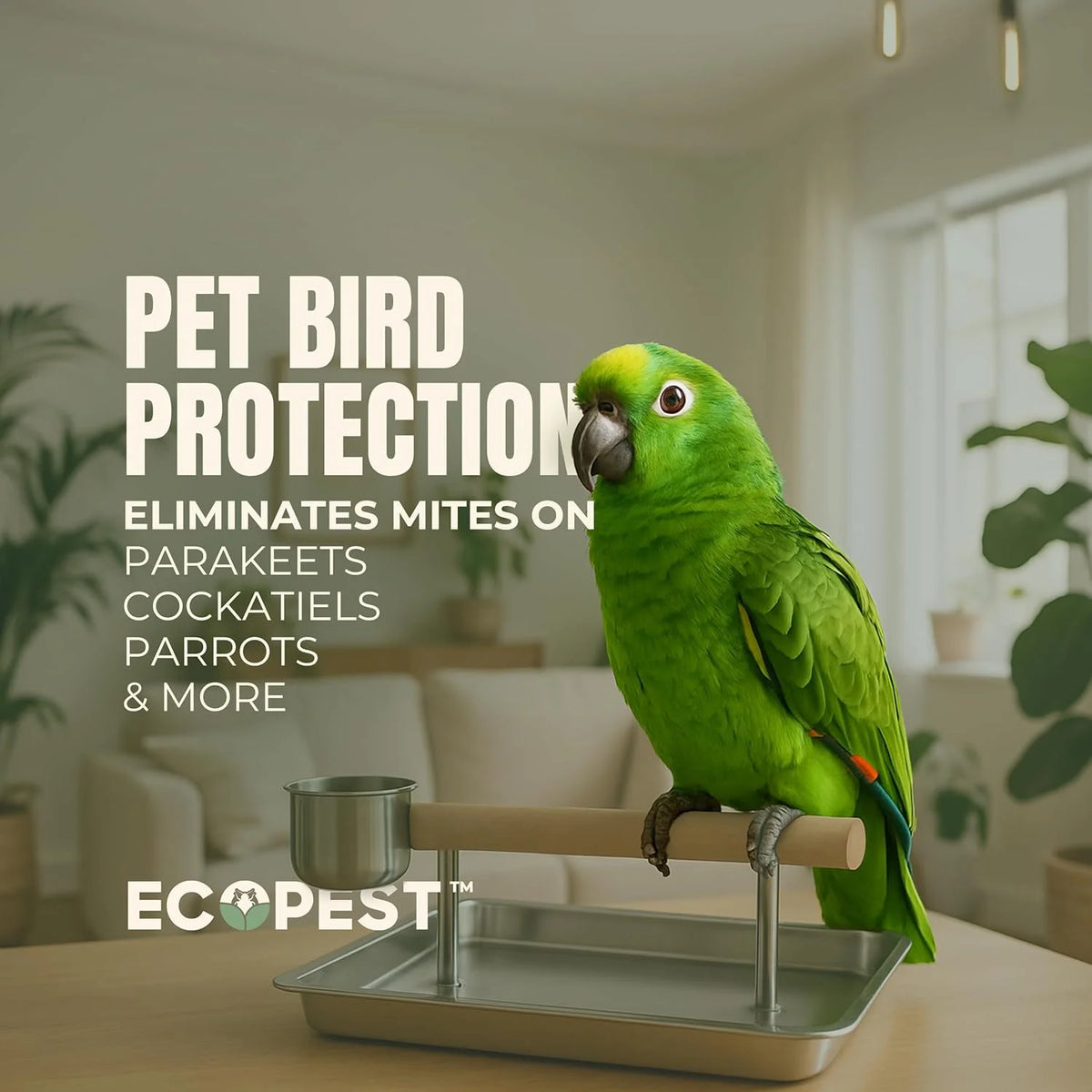 Mite Spray �C Natural Killer for Dust, Bird, Spider, Scabies & Other Mites | Bedding & Furniture-Safe | Treatment for Chickens, Poultry, Dogs, Cats, Reptiles & Other Pets | Indoor & Outdoor (1 Gallon)