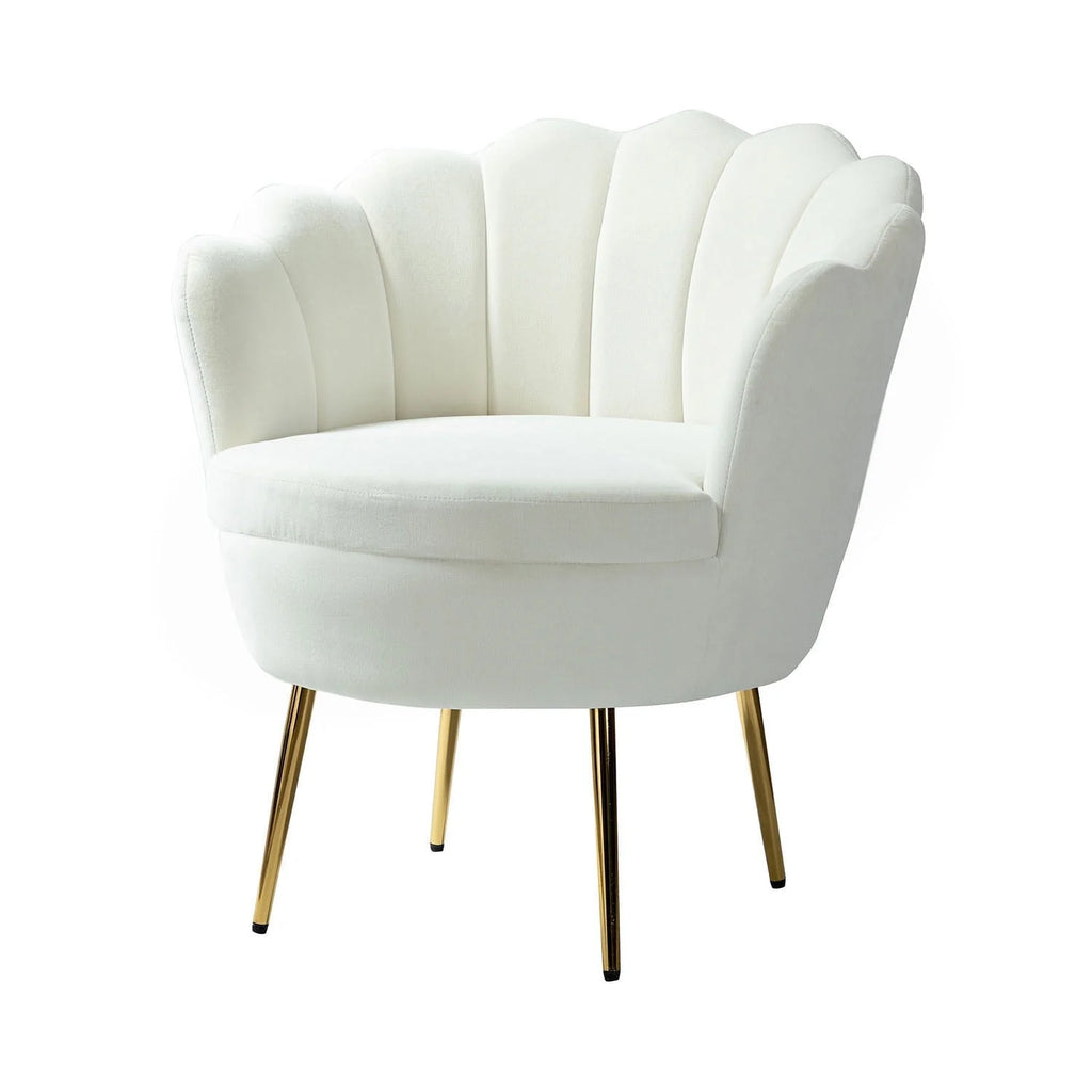 14 Karat Home Seashell Upholstery Barrel Chair with Gold Legs for Living Room, Ivory