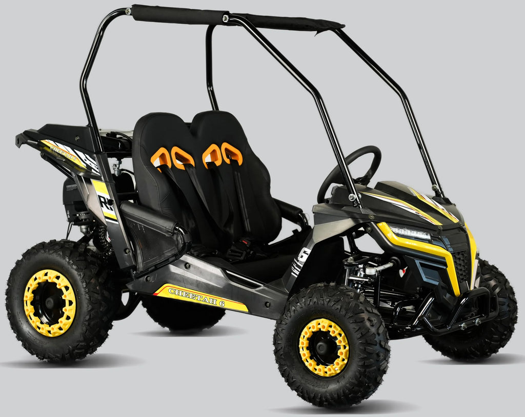 TrailMaster Cheetah 6 Youth Go-Kart - 163cc 5.5HP Engine, 4-Point Safety Belt, Remote Kill, Speed Governor, Suitable for Kids 6-12. with Pre-Assembled Version Now! (Pre-Assembled, Blue)