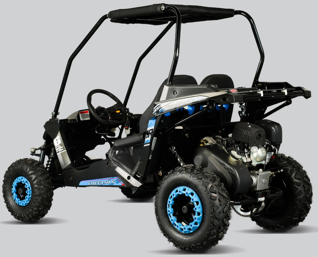 TrailMaster Cheetah 6 Youth Go-Kart - 163cc 5.5HP Engine, 4-Point Safety Belt, Remote Kill, Speed Governor, Suitable for Kids 6-12. with Pre-Assembled Version Now! (Pre-Assembled, Blue)