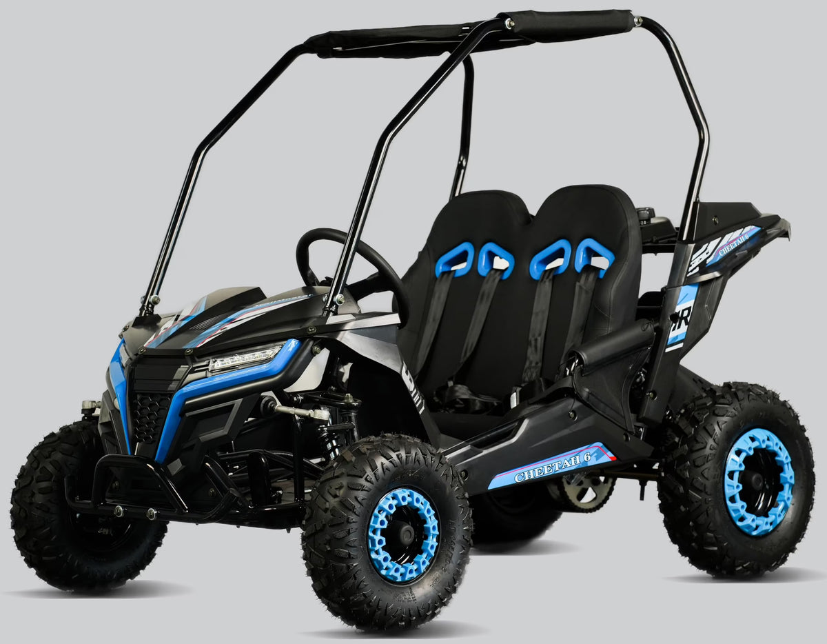 TrailMaster Cheetah 6 Youth Go-Kart - 163cc 5.5HP Engine, 4-Point Safety Belt, Remote Kill, Speed Governor, Suitable for Kids 6-12. with Pre-Assembled Version Now! (Pre-Assembled, Blue)