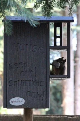 JCs Wildlife Ultimate Squirrel House Nesting Box (Blue/Gray) - A Perfect Home for Squirrels!