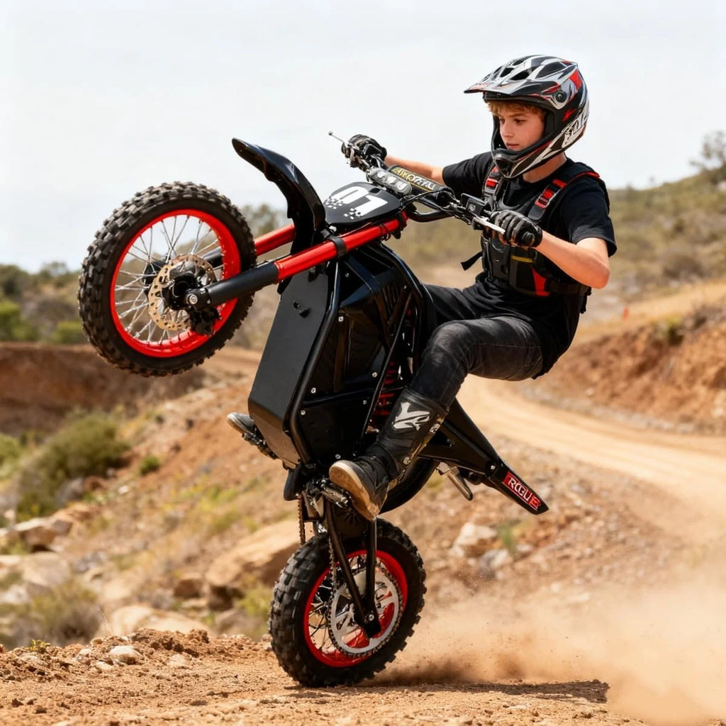 2000W Electric Dirt Bike for Adults Ridingtimes GT73 UL2849,Brushless Hub Motor,18.2AH*2 Electric Bike with 25\" tires digital screen Carbon Steel,Black