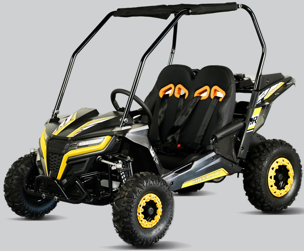 TrailMaster Cheetah 6 Youth Go-Kart - 163cc 5.5HP Engine, 4-Point Safety Belt, Remote Kill, Speed Governor, Suitable for Kids 6-12. with Pre-Assembled Version Now! (Pre-Assembled, Blue)