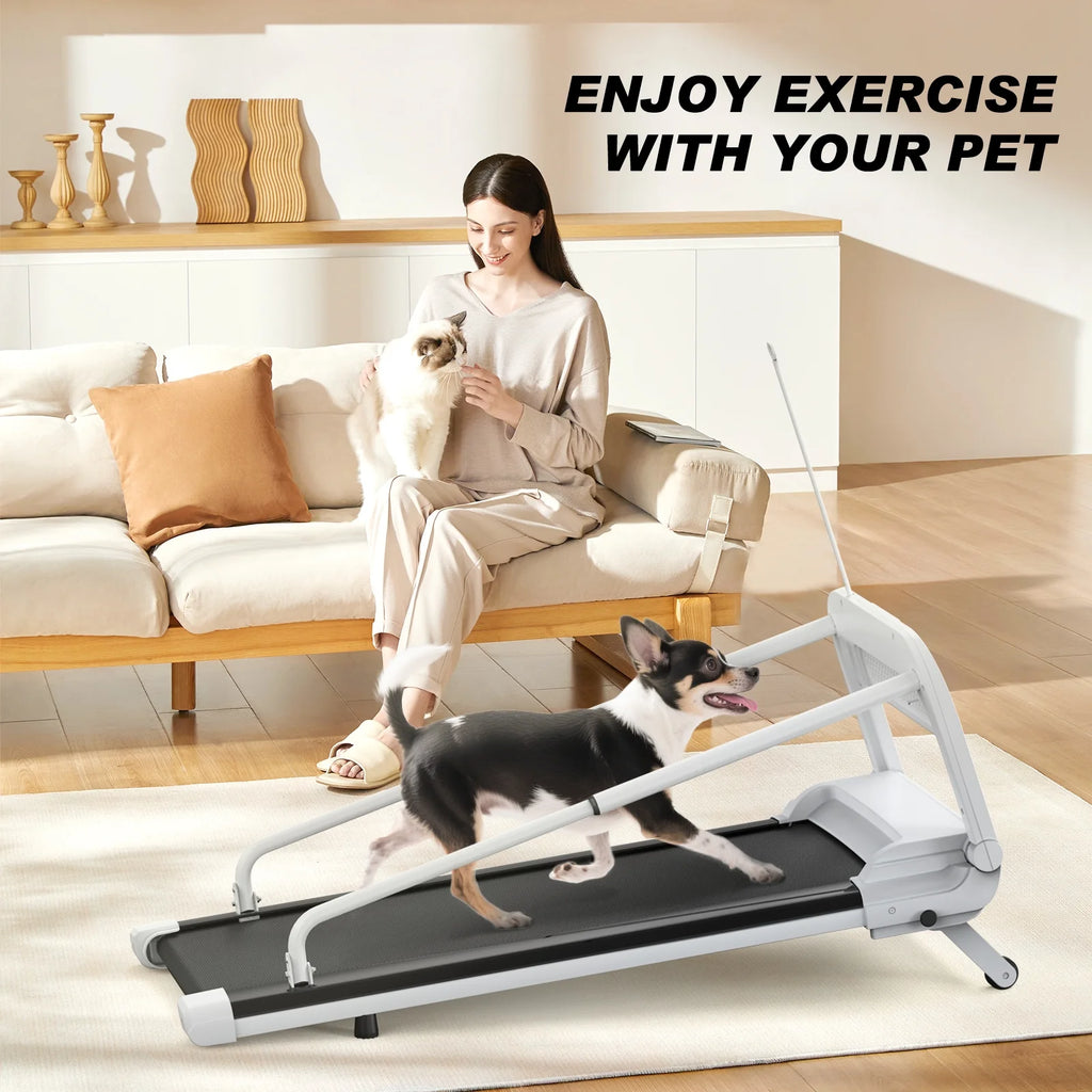 Ambifirner Dog Treadmill for Medium Small Dogs - 265lbs Weight Capacity Pet Running Machine - 2 in 1 Treadmill for Pet Fitness with Move Wheels and Remote Control