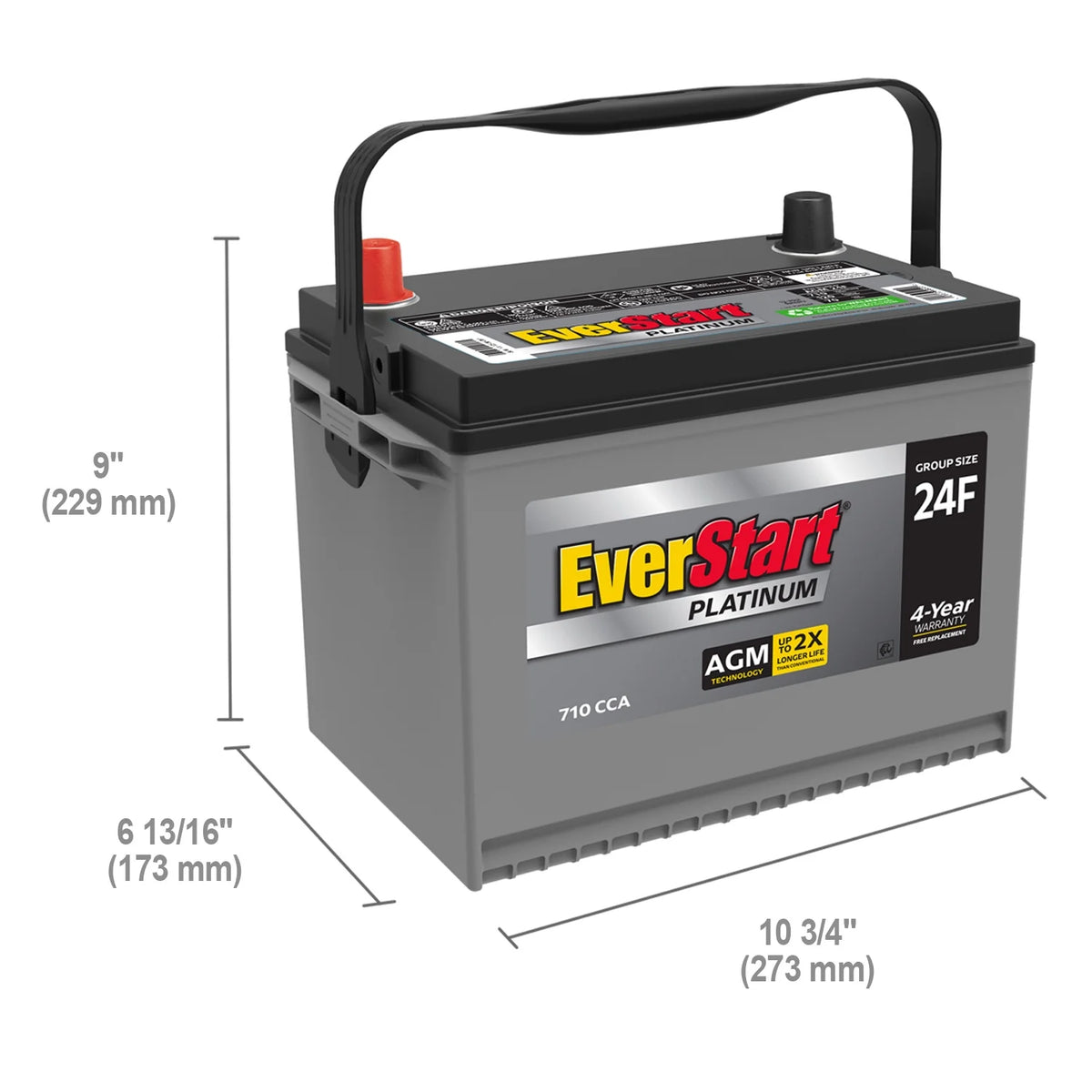 EverStart Platinum BOXED AGM Automotive Battery, Group Size 24F 12 Volt, 710 CCA